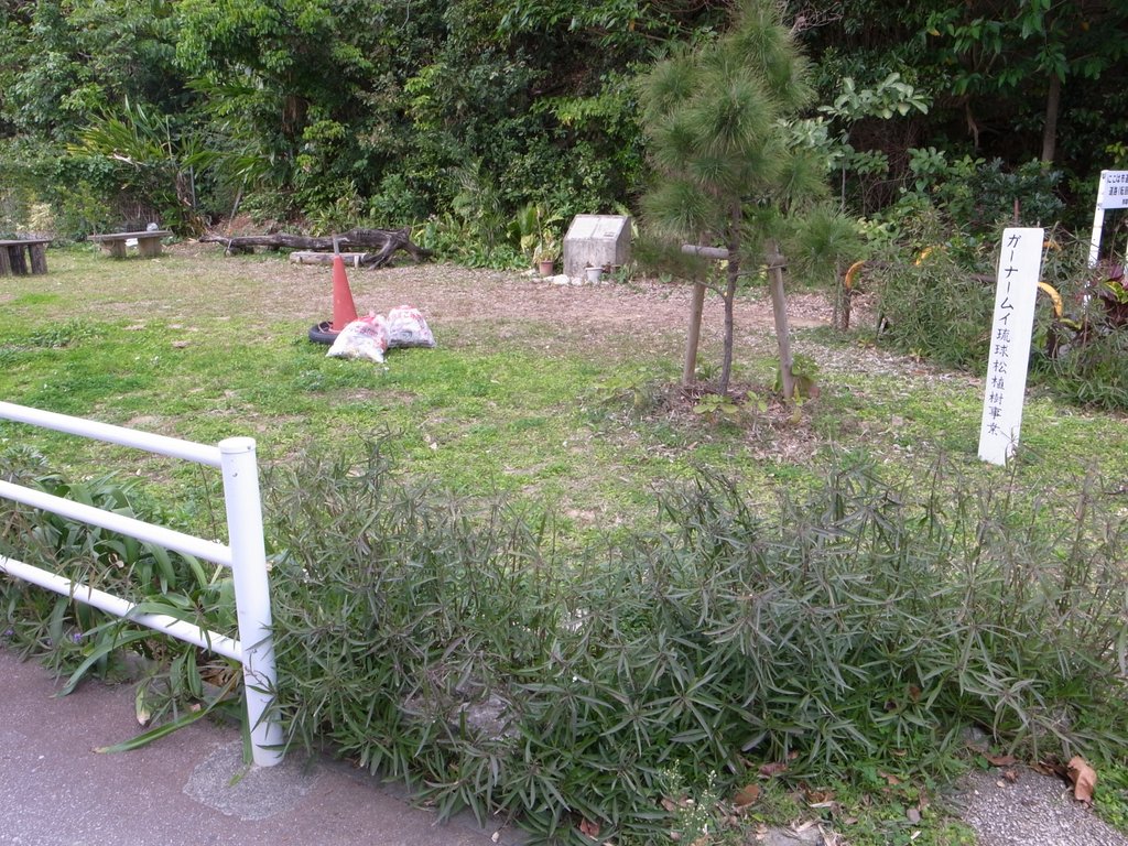 f:id:SQB:20150221201808j:image