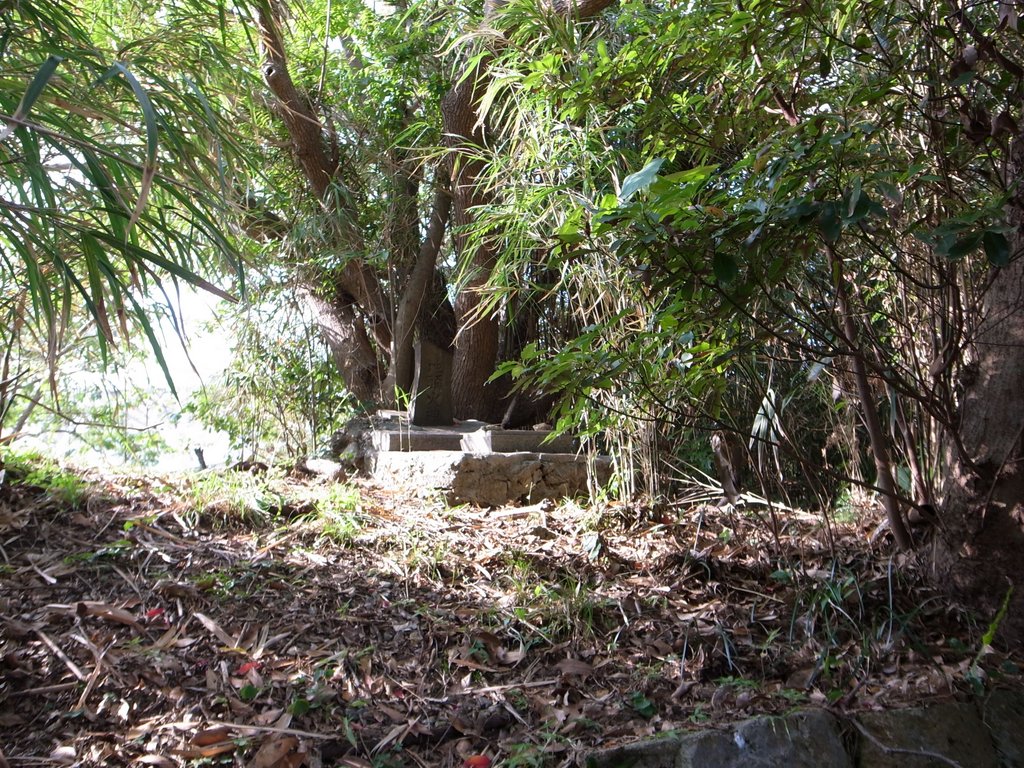 f:id:SQB:20150221203027j:image