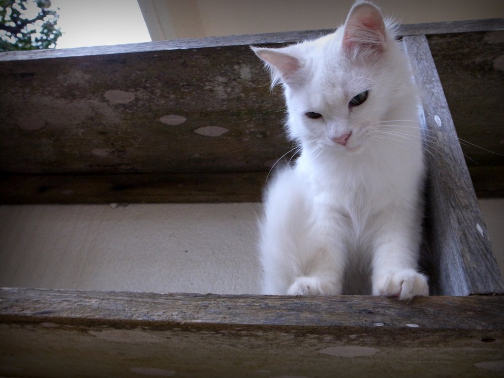 f:id:SQB:20150222171942j:image