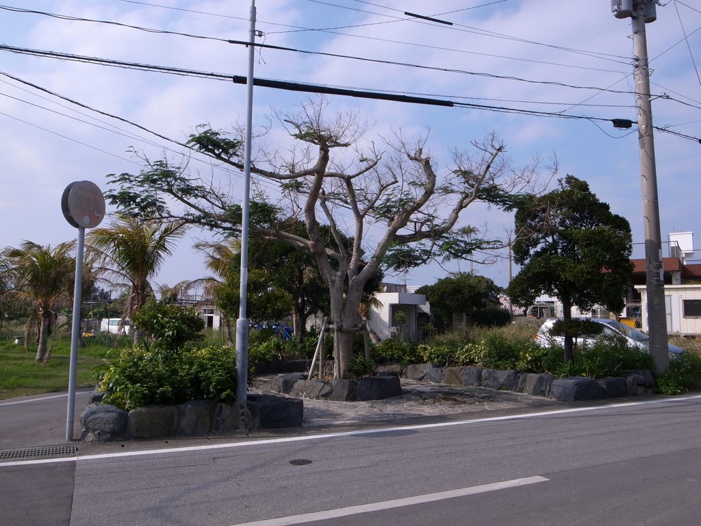 f:id:SQB:20150302191500j:image