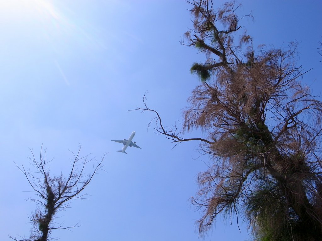 f:id:SQB:20150323163350j:image