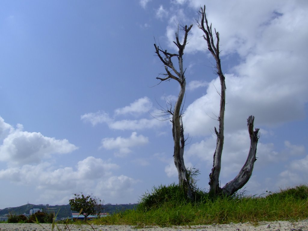 f:id:SQB:20150329194122j:image
