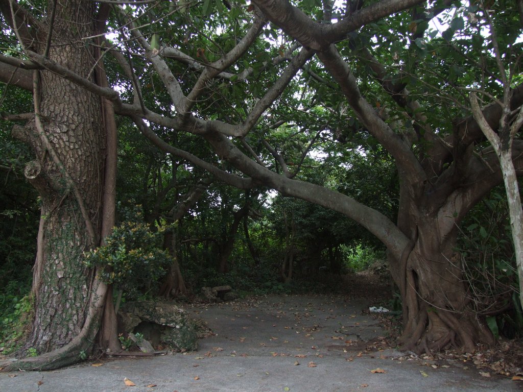 f:id:SQB:20150418204446j:image