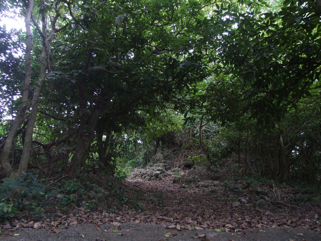 f:id:SQB:20150418204449j:image