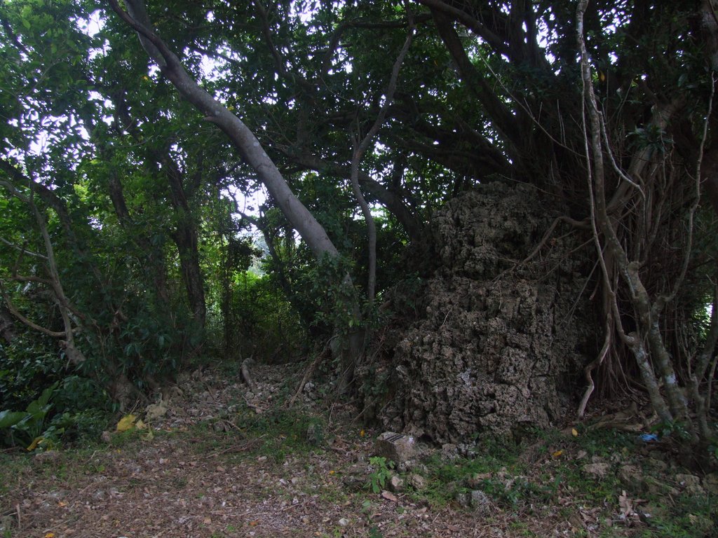 f:id:SQB:20150418205212j:image