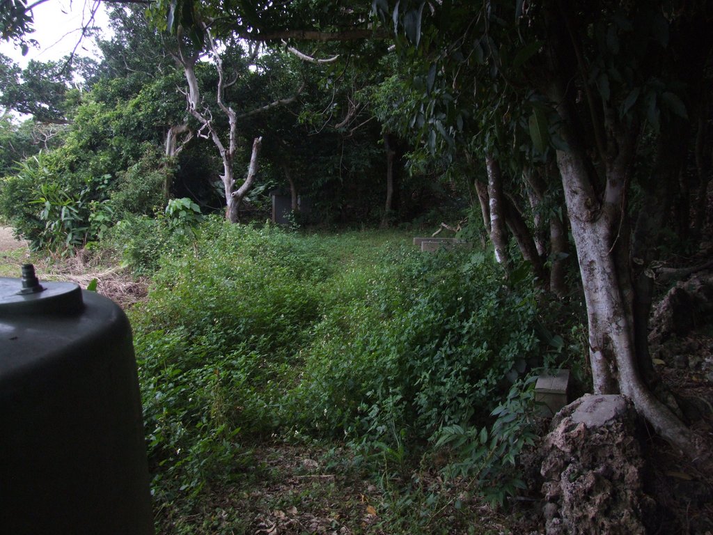 f:id:SQB:20150418205215j:image