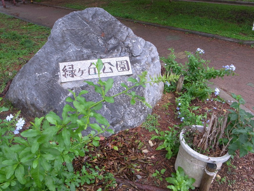 f:id:SQB:20150519191328j:image