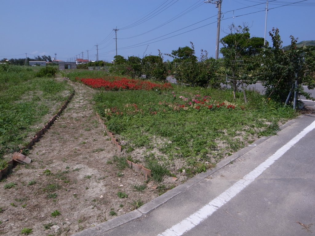f:id:SQB:20150523141651j:image