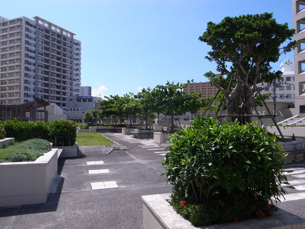 f:id:SQB:20150604185346j:image
