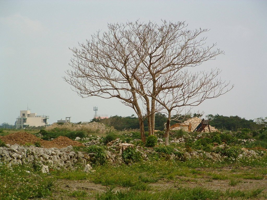 f:id:SQB:20150708145034j:image