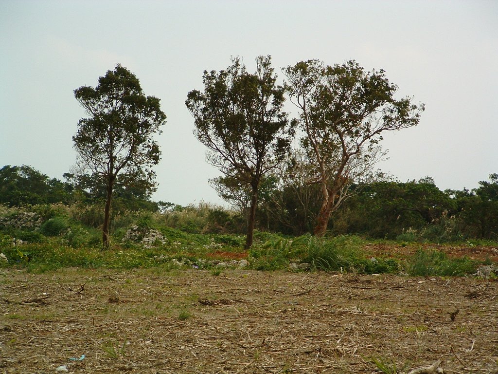 f:id:SQB:20150708145038j:image