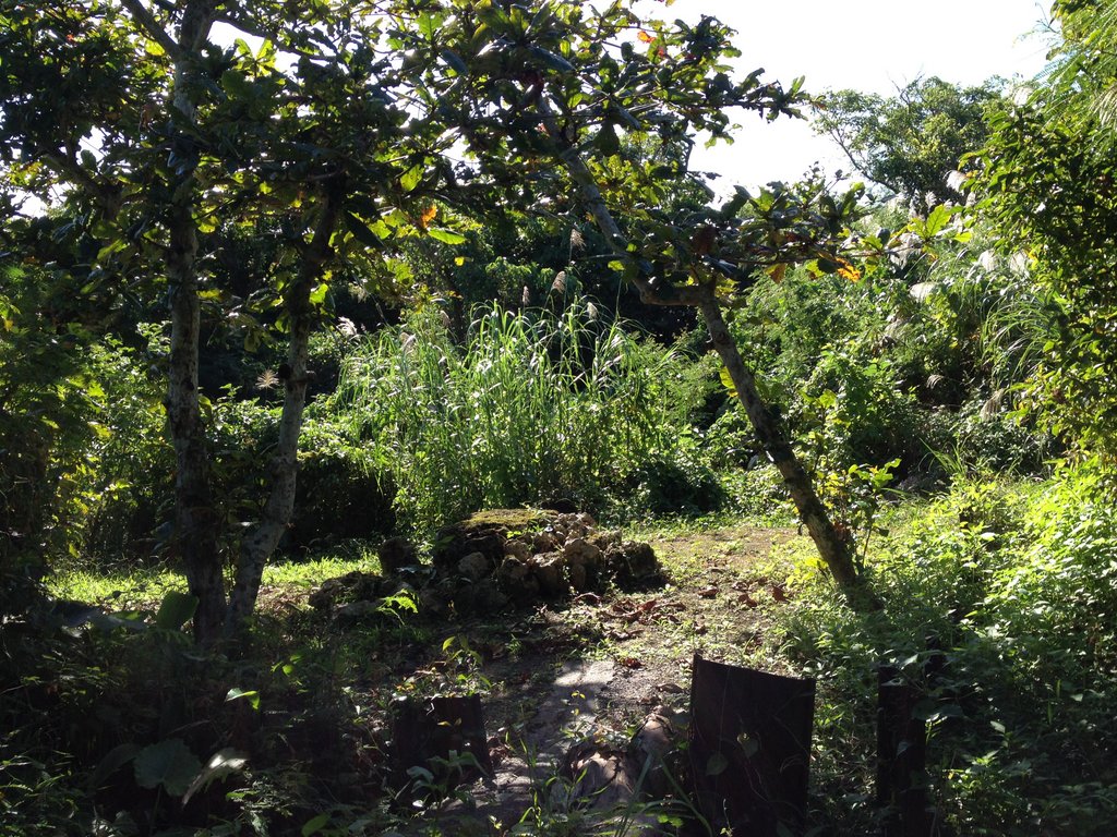 f:id:SQB:20151108164349j:plain f:id:SQB:20151108164349j:plain