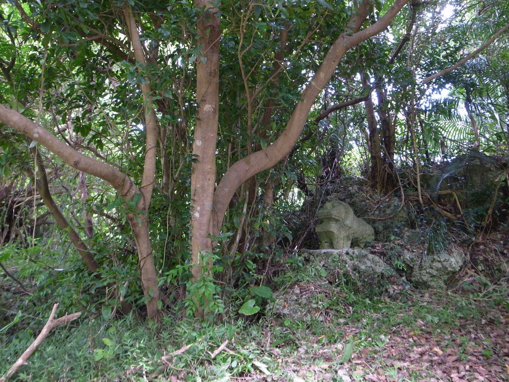 f:id:SQB:20160320191607j:image