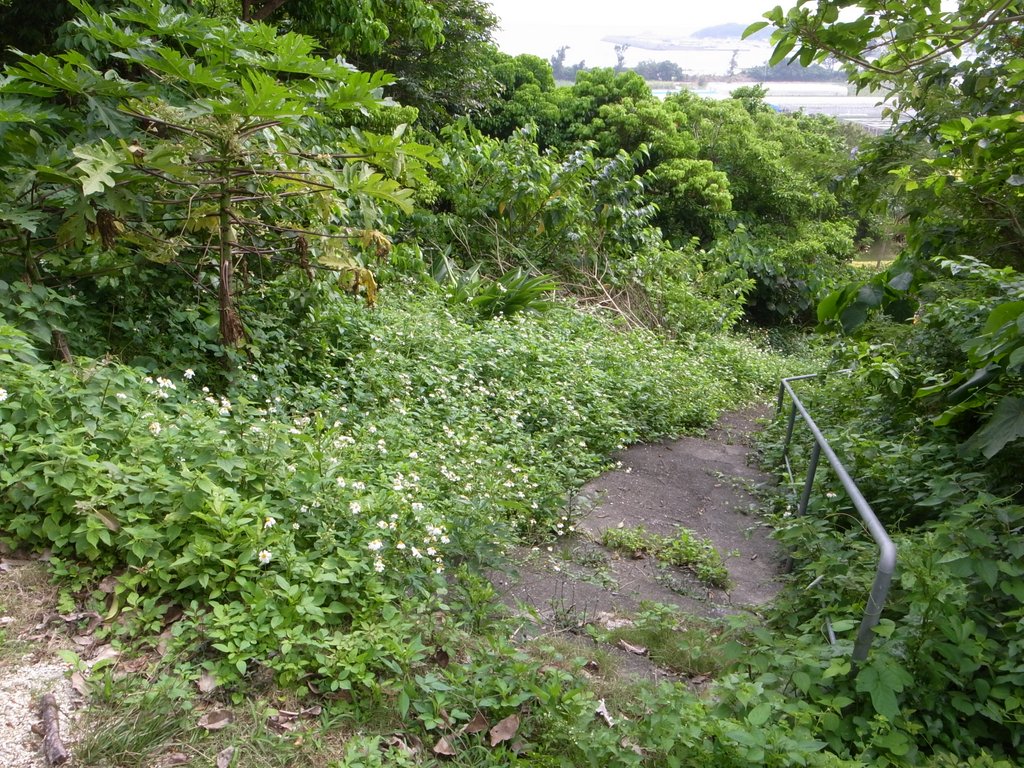 f:id:SQB:20160320202005j:image