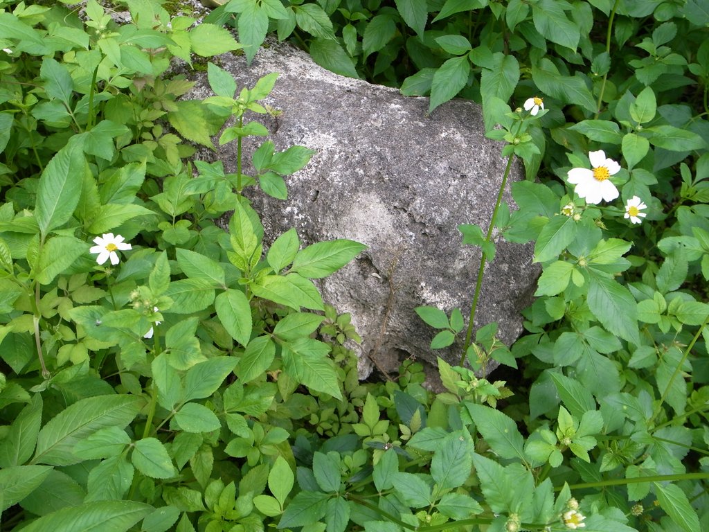 f:id:SQB:20160320202009j:image