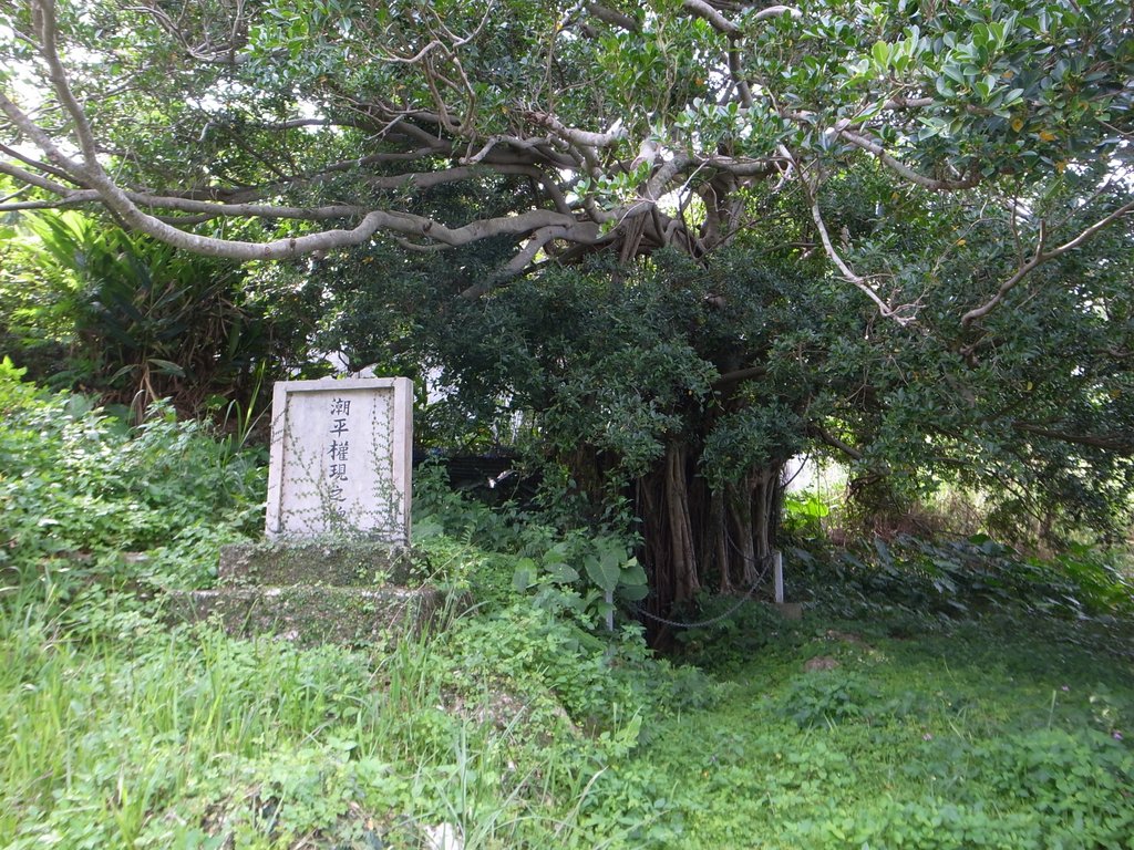 f:id:SQB:20160322184504j:image