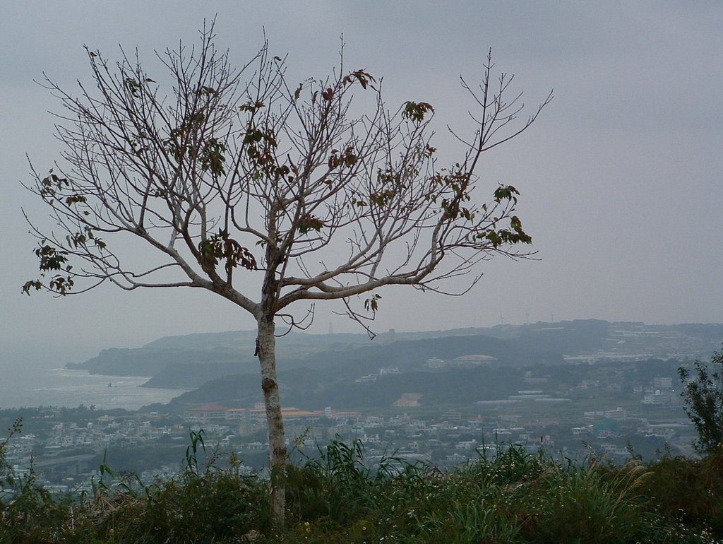 f:id:SQB:20160328153857j:image