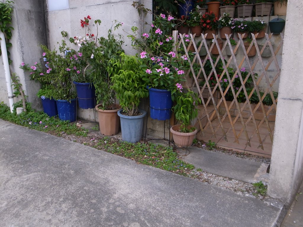 f:id:SQB:20160502191816j:image