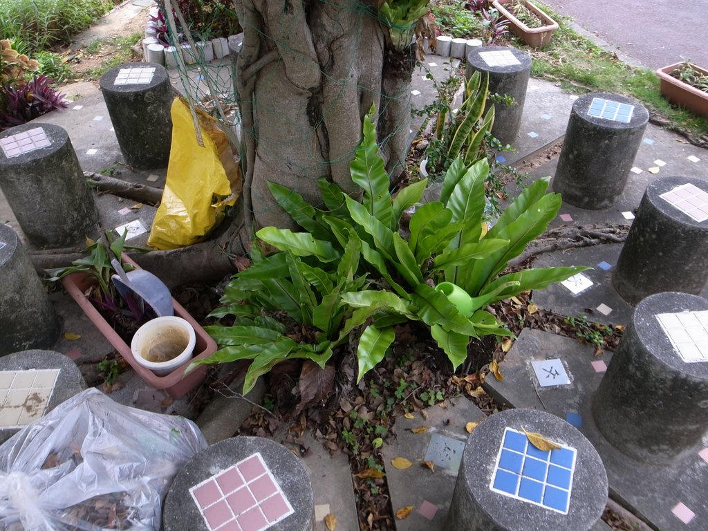 f:id:SQB:20160505135348j:image