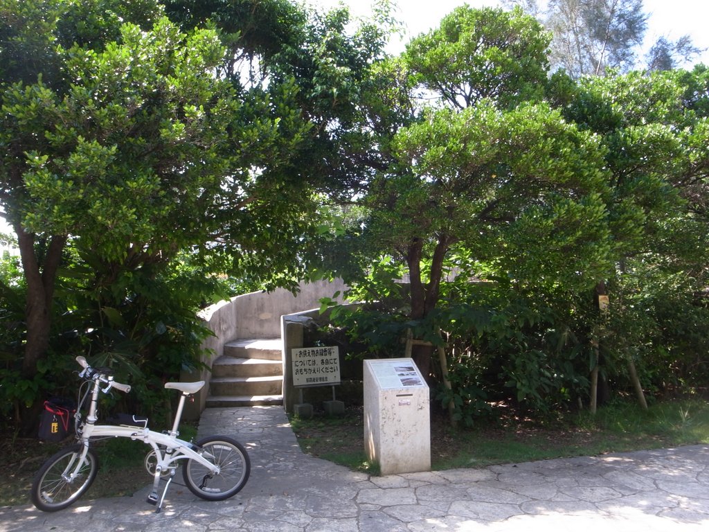 f:id:SQB:20160605202037j:image