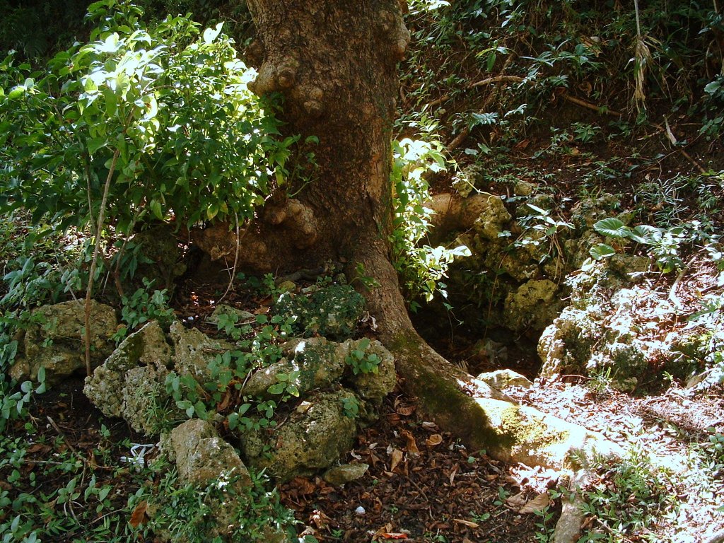 f:id:SQB:20160623204756j:image