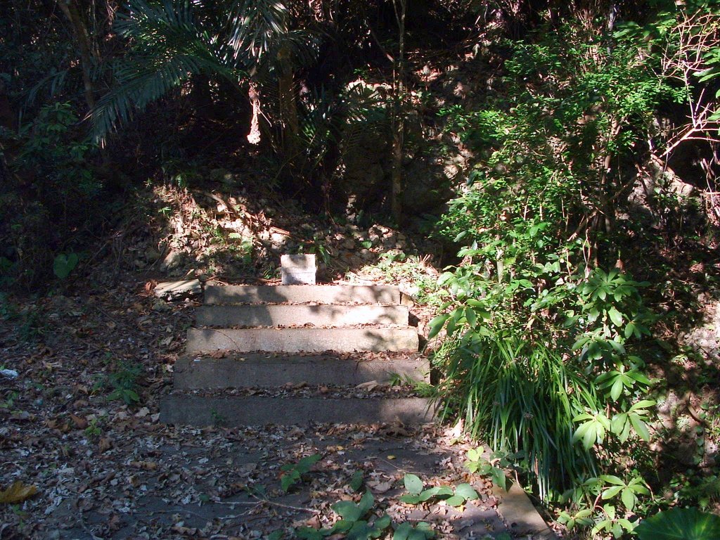 f:id:SQB:20160719145420j:image