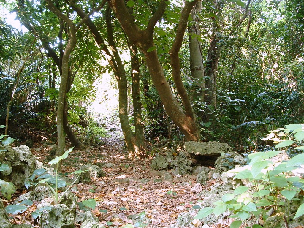 f:id:SQB:20161116151000j:image