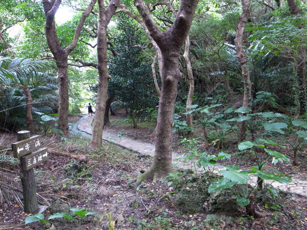 f:id:SQB:20161120183846j:image