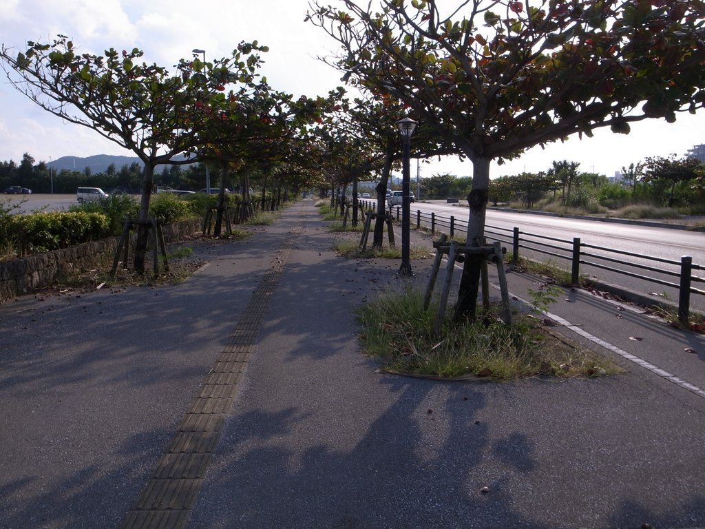 f:id:SQB:20161215151918j:plain