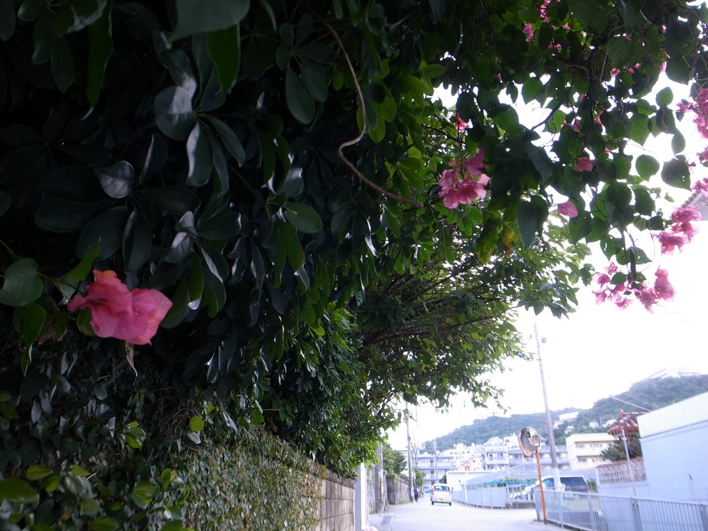 f:id:SQB:20161215153857j:plain