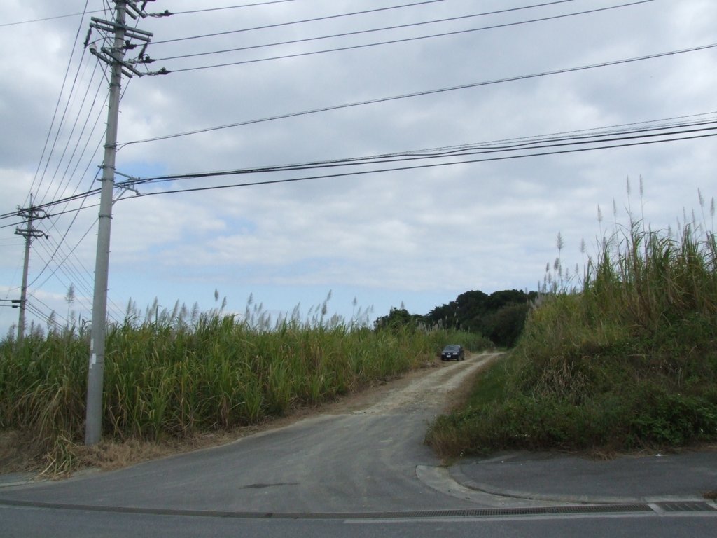 f:id:SQB:20170116144617j:plain f:id:SQB:20170116144617j:plain