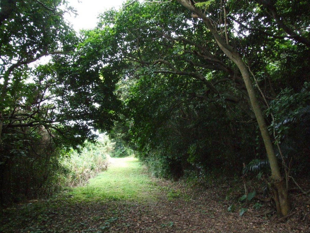 f:id:SQB:20170116144800j:plain f:id:SQB:20170116144800j:plain