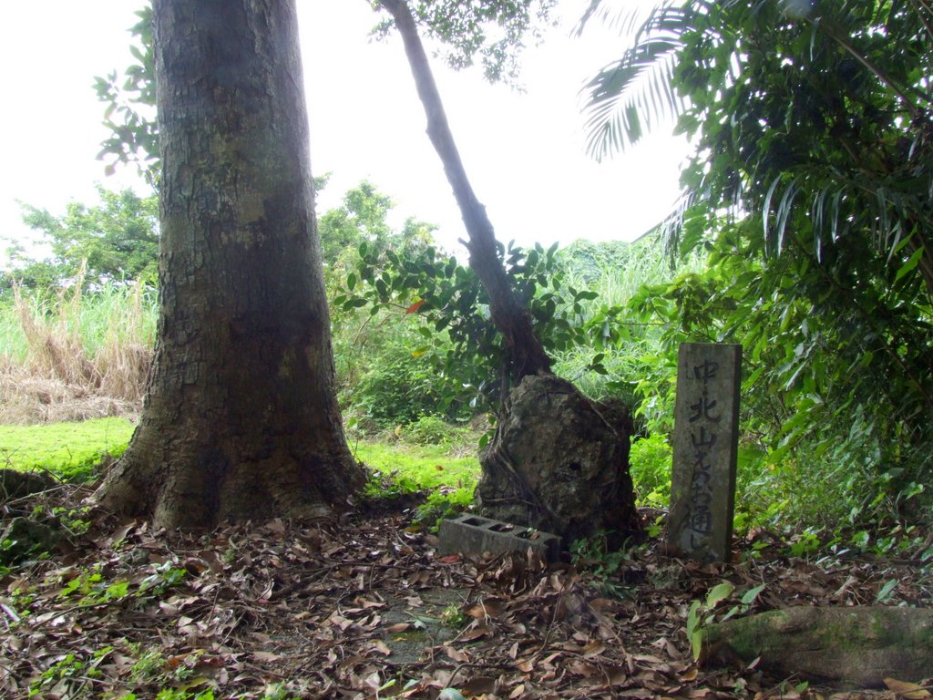 f:id:SQB:20170116145110j:plain f:id:SQB:20170116145110j:plain