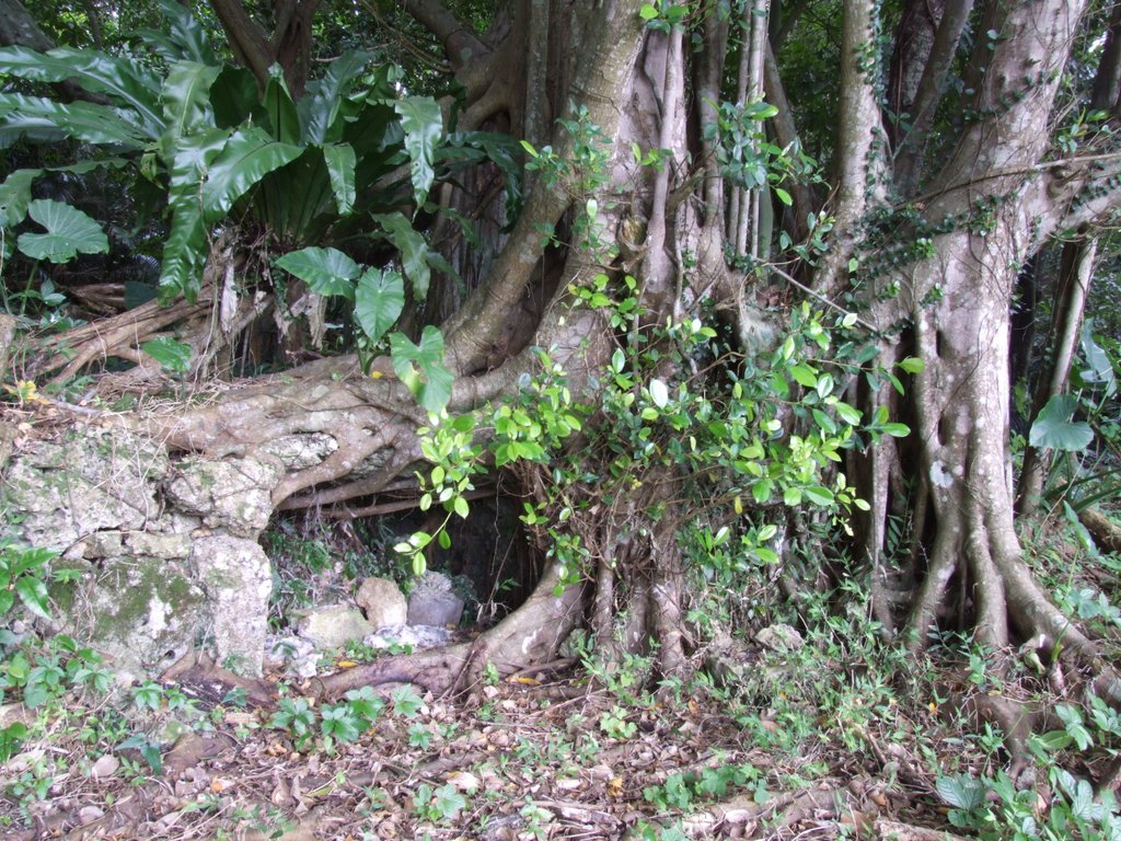 f:id:SQB:20170116145328j:plain f:id:SQB:20170116145328j:plain