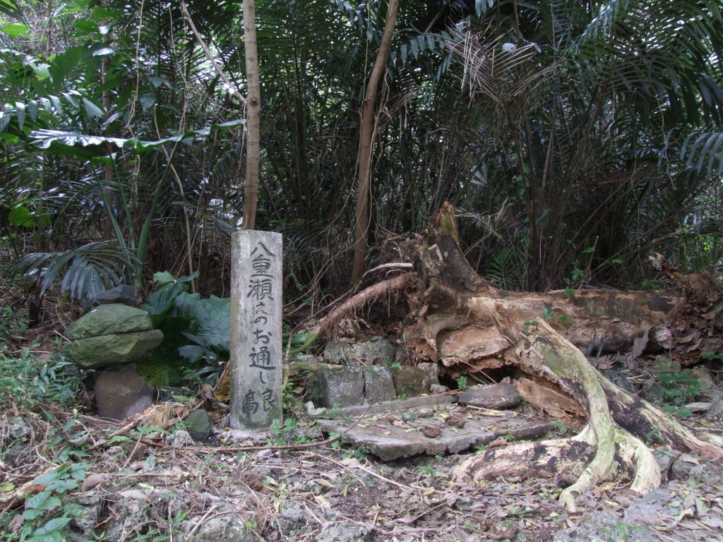 f:id:SQB:20170116145550j:plain f:id:SQB:20170116145550j:plain