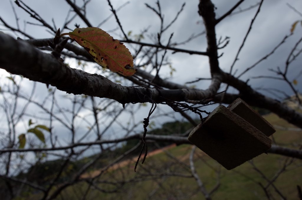 f:id:SQB:20170121185754j:plain