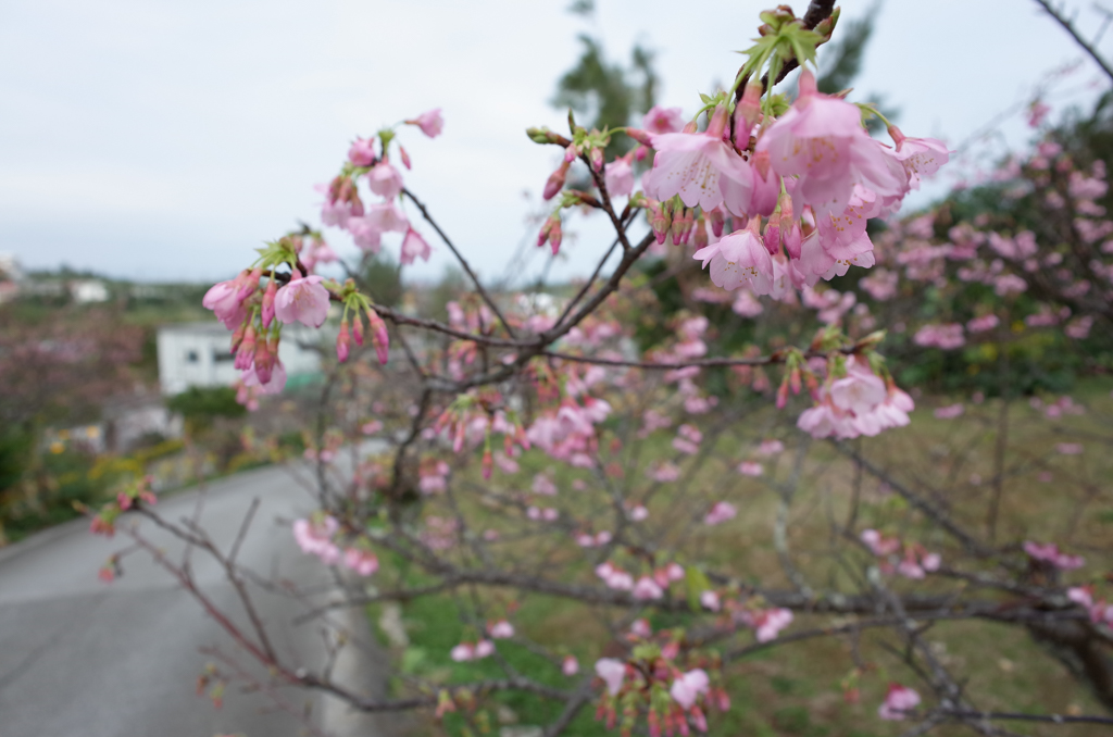 f:id:SQB:20180120191138j:plain