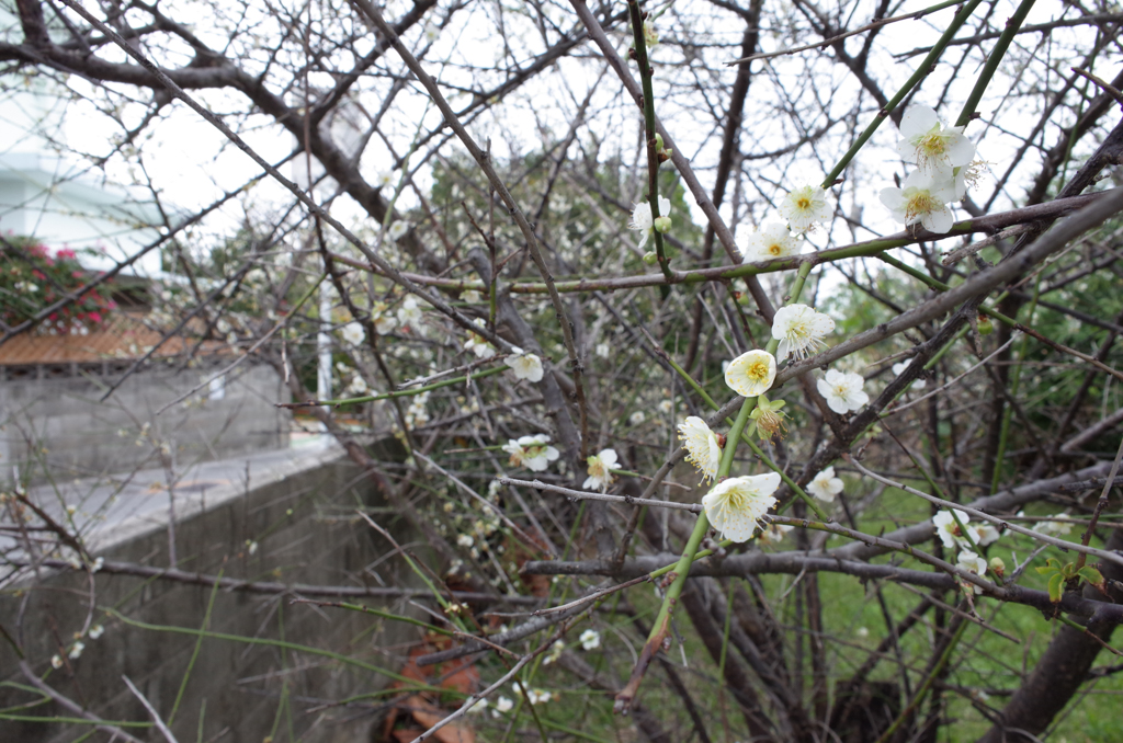 f:id:SQB:20180203201937j:plain