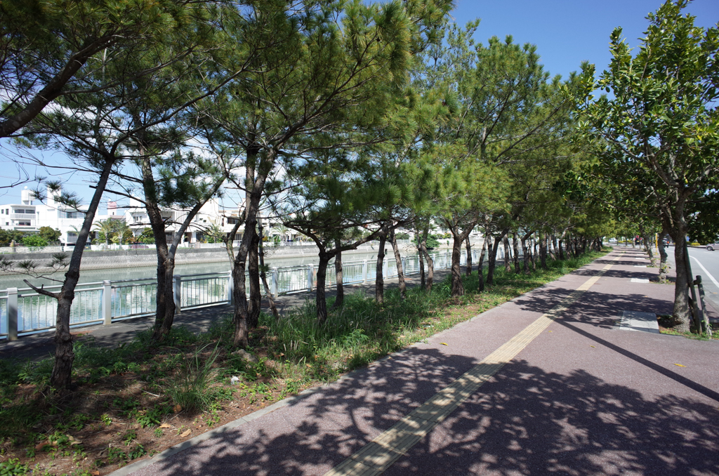 f:id:SQB:20180311202157j:plain f:id:SQB:20180311202157j:plain