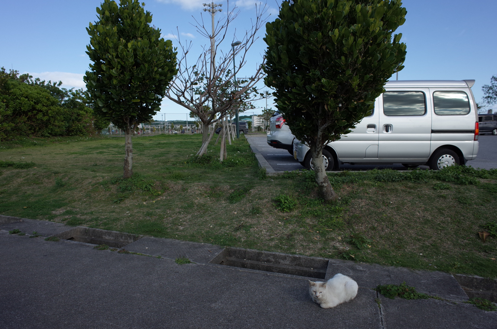 f:id:SQB:20180311212532j:plain