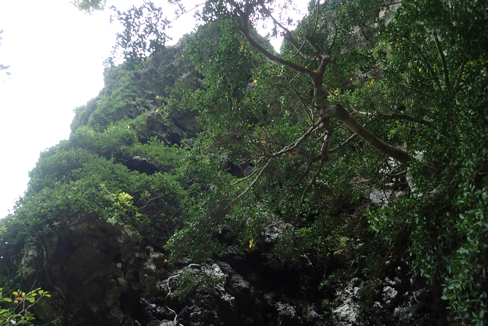 f:id:SQB:20180415201322j:plain