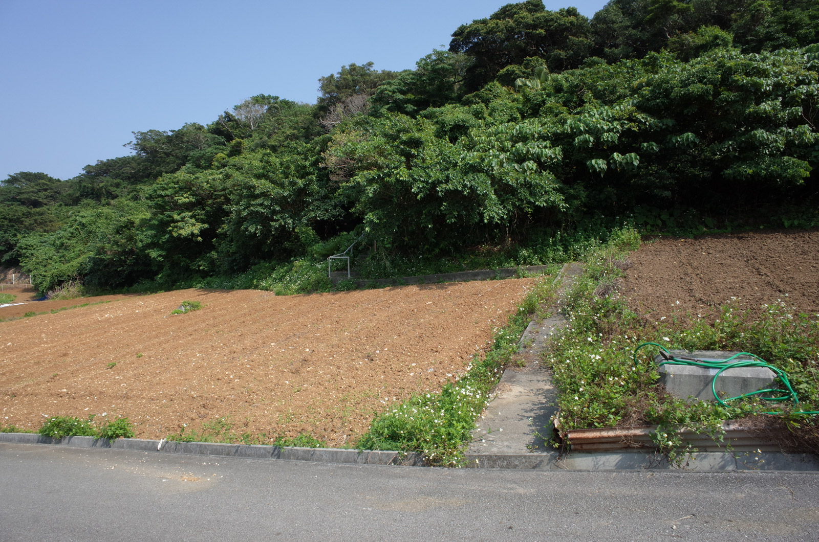 f:id:SQB:20180428211617j:plain