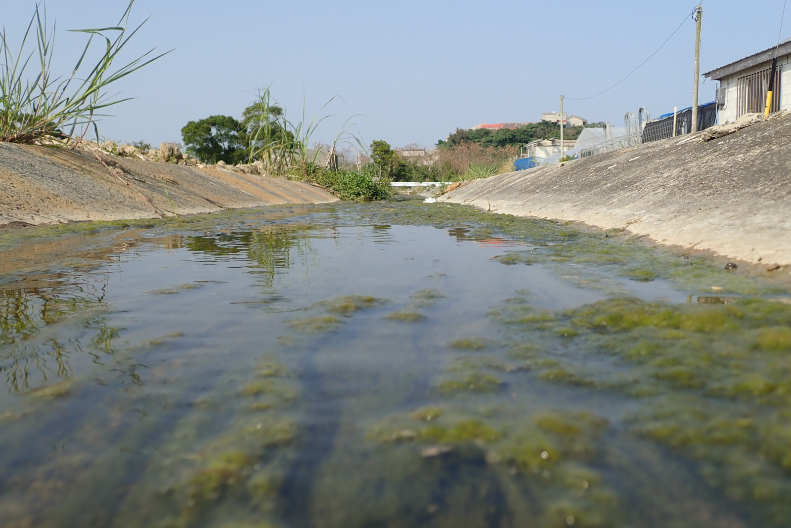 f:id:SQB:20180428214616j:plain