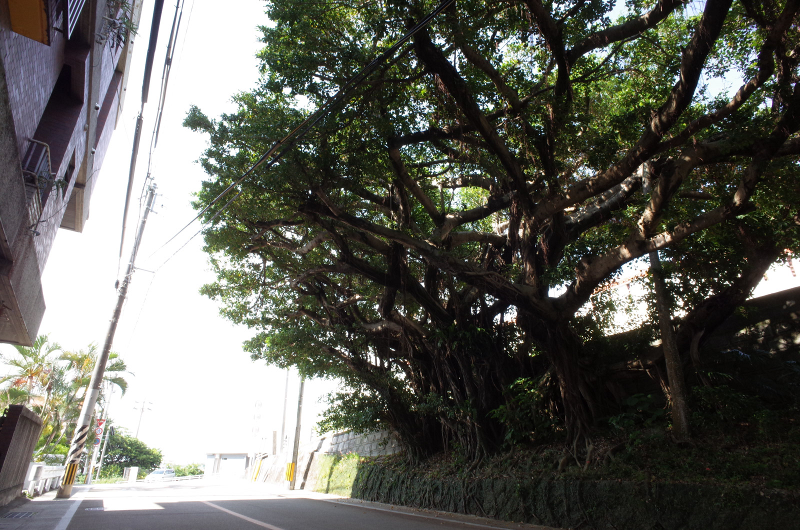 f:id:SQB:20180504203546j:plain