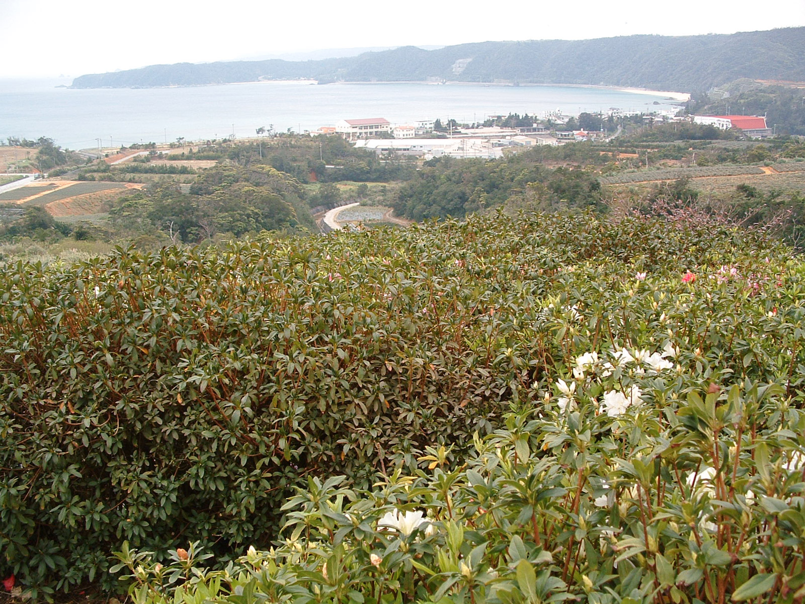 f:id:SQB:20180604172347j:plain