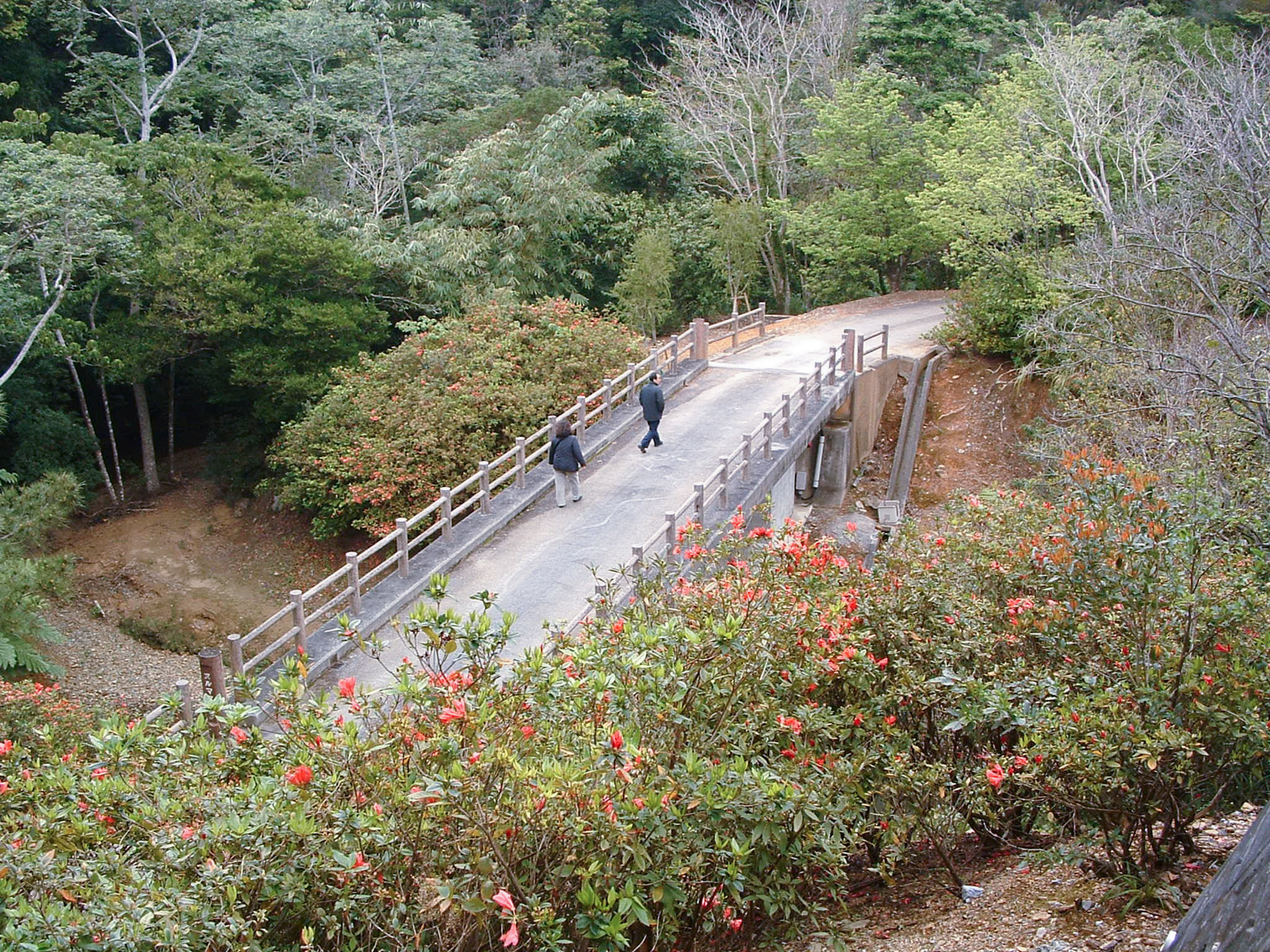 f:id:SQB:20180604172352j:plain