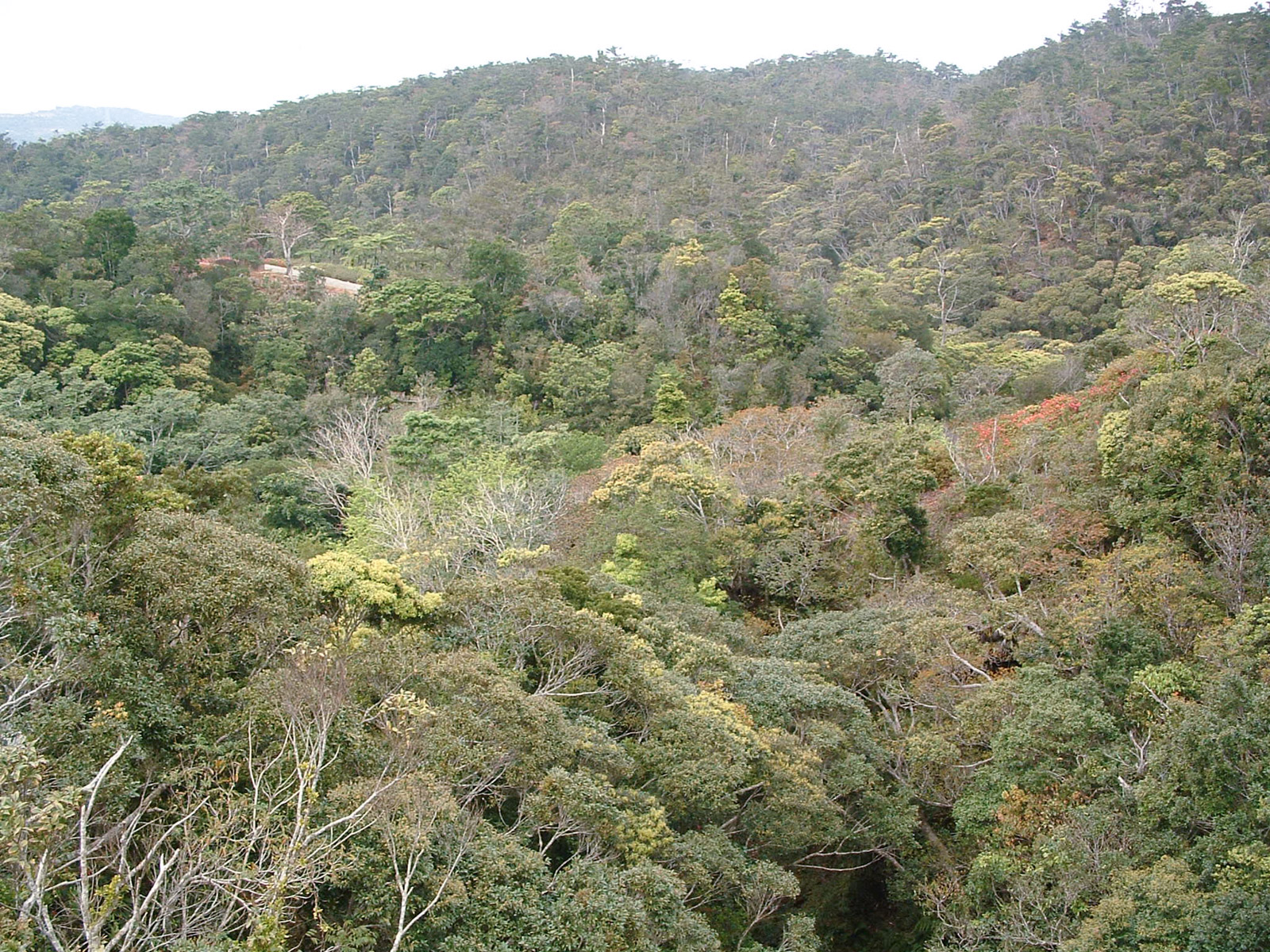 f:id:SQB:20180604172404j:plain