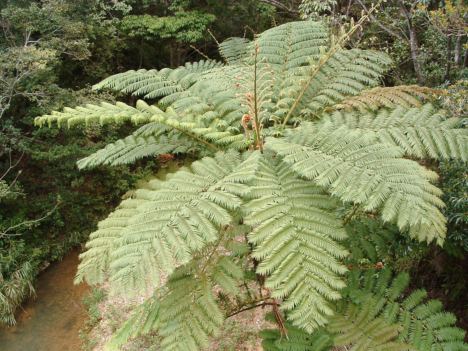 f:id:SQB:20180604172537j:plain