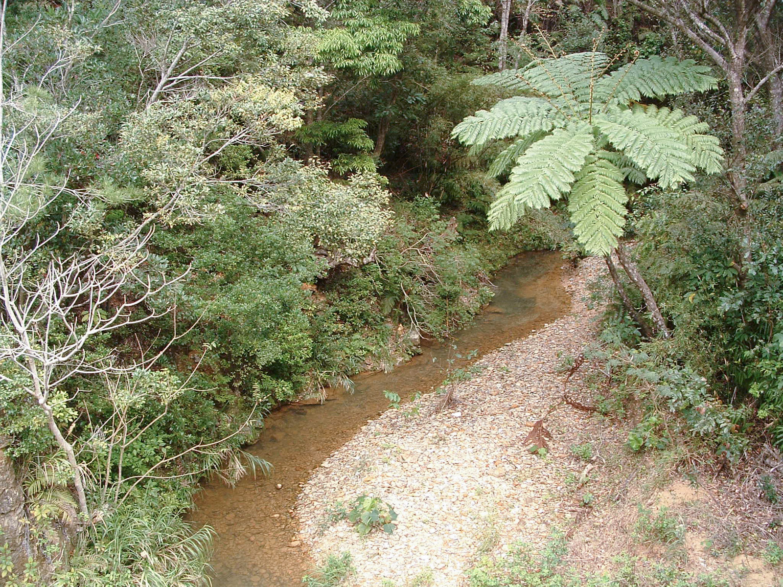 f:id:SQB:20180604172548j:plain