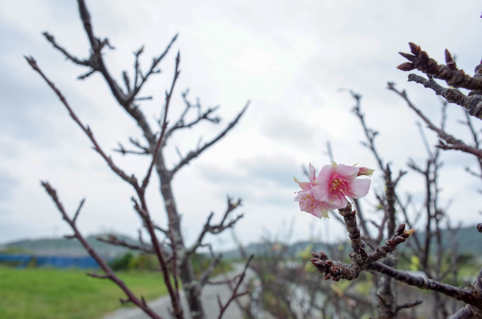 f:id:SQB:20181110214355j:plain
